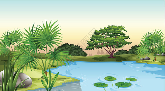 矿物质水池塘周围的绿色植物插画