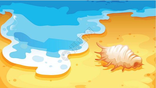 有故事贝壳有贝壳的海滩设计图片