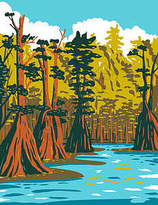 在位于佛罗里达海报艺术的阿帕拉契科拉国家森林南部沼泽地生长的鲍尔德西波斯树荒野山脉保护区山区管理林地打印风景项目乡愁背景图片