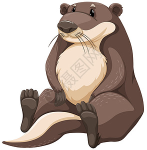 可爱动物的爪子奥特白色哺乳动物卡通片横幅棕色荒野胡须爪子脊椎动物野生动物设计图片