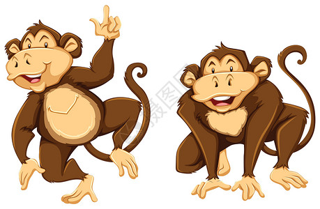 长臂猿猴子墙纸绘画卡通片生物黑猩猩野生动物哺乳动物荒野动物毛皮插画