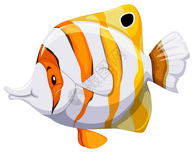黄色条纹鱼一条鱼白色黄色墙纸海洋生物橙子游泳黑色鱼缸海报插画