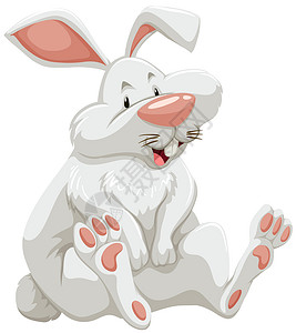 兔子兔卡通片动物学校幼儿园卡片剪贴画单词墙纸横幅绘画背景图片