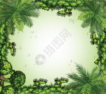 热带树叶剪贴画自然框架卡通片花园衬套空白装饰品木板边界绘画剪贴书写设计图片
