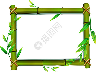青翠美丽竹子框架绿色正方形空白卡通片卡片植物绘画边界公告木板设计图片
