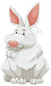 兔子兔宠物耳朵微笑墙纸动物生物粉色野生动物卡通片白色背景图片