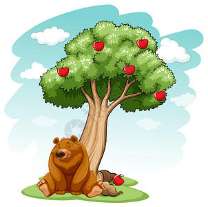 跌倒爬起来熊下树身体哺乳动物鼻子植物犬形竹子阴影食肉植物性树干插画