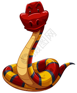 七彩蛇捕食者毒液动画白色脊椎动物羊膜寓言绘画舌头爬虫背景图片