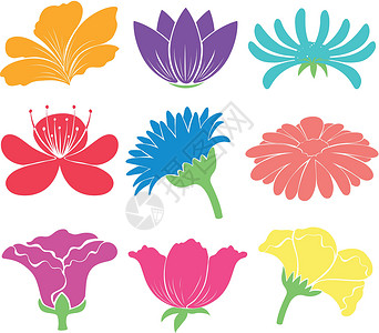 花卉艺术品花瓣装饰插图海报白色装饰品植物花香花粉花朵背景图片