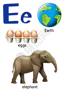 学习的大象字母 E 代表 Eartheggs 和 elephan绘画地球托盘艺术字体学校艺术家圆圈收藏工作设计图片