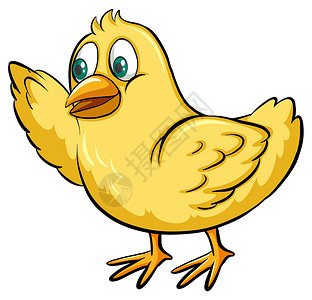 黄色别致眼睛绘画农场动物小鸡生计故事两条腿白色翅膀背景图片