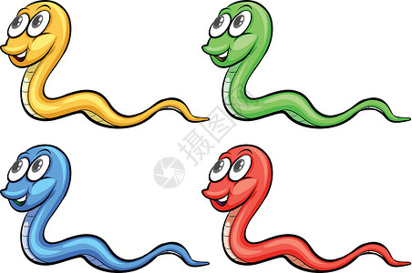 四蛇动物红色绘画收藏绿色毒液眼睛危险蓝色黄色高清图片