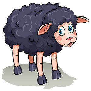 黑色的偶数动物羊毛天气绘画剪切哺乳动物牛奶羊肉内存图片素材