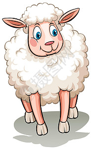 绵羊天气羊毛母羊绘画哺乳内存反刍动物剪切牛奶农业背景图片
