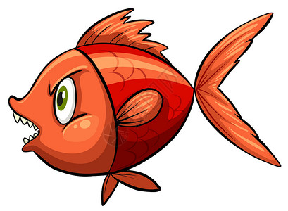 红鱼橙子海鲜软骨食物轴承动物学白色颅骨海洋红色设计图片