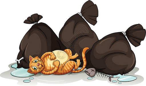 地上的垃圾垃圾袋旁边的一只猫垃圾捕食者害虫家庭动物猎人反射猎物利基友谊插画