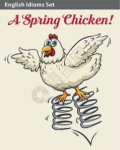 鸡下蛋表示春天小鸡的英语成语女士羽毛文字菜单女性动物母鸡海报字体艺术品设计图片