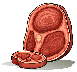 鲜切牛腱子肉大部分的米亚绘画剪贴白色艺术品卡通片文字狮子艺术食物英语设计图片