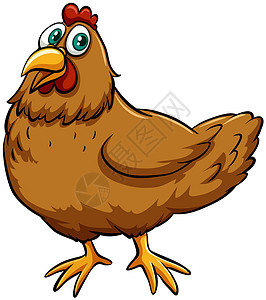 鸡下蛋春鸡白痴家禽羽毛海报剪贴俚语英语卡通片棕色艺术动物设计图片