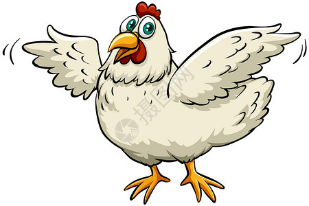 鸡不会飞一只春鸡女士母亲白色食物家禽动物生计俚语羽毛女性插画