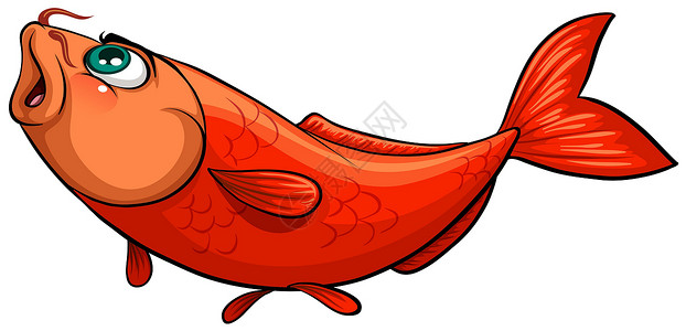 鳗鲞一个成语表示一个 fis生物橙子白色水产渔夫钓鱼养殖动物颅骨软骨设计图片