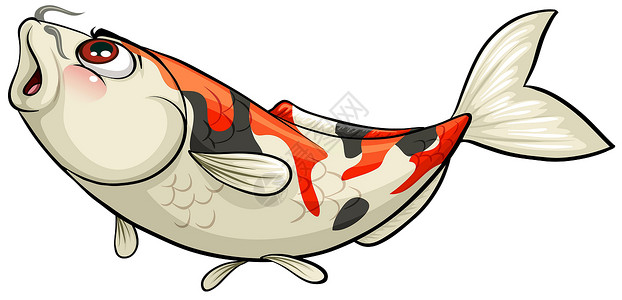 鳗鲞一条鱼动物神灵冷血水产动物学养殖绘画食物海洋钓鱼设计图片