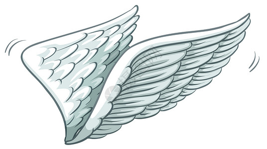 翅膀素描艺术飞行白色后翅前翅皮肤绘画草图羽毛艺术品背景图片