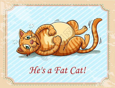 猫汤姆素材脂肪钙野生动物胡须生物毛皮小猫吉祥物猫咪宠物动物绘画插画