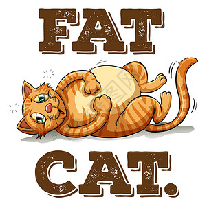 脸上有斑有 tex 的肥猫绘画艺术衬衫说谎肥胖动物脂肪小猫成语英语插画