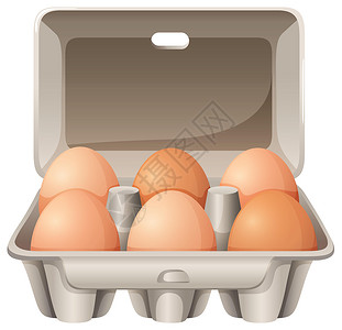 盒子里鸡蛋六个鸡蛋农业食物材料美食白色绘画盒子蛋黄包装卡通片插画