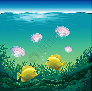 透明的水里游泳的鱼海鱼珊瑚礁海浪栖息地环境生物游泳绘画场景植物天空插画
