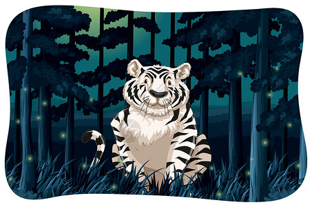 丛林里老虎老虎哺乳动物萤火虫白色野生动物海报动物横幅卡通片荒野墙纸设计图片