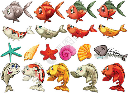 海洋生物团体墙纸海洋收藏卡通片鱼骨动物海星剪贴海报设计图片