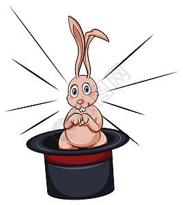 兔子面哈里面的兔子马戏团惊喜绘画帽子宠物表演演员灰色动物展示插画