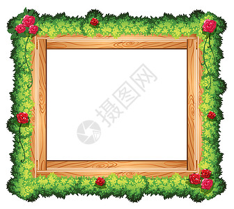 木制相框相框木板树叶绘画横幅木头正方形白色兄弟卡通片玫瑰插画