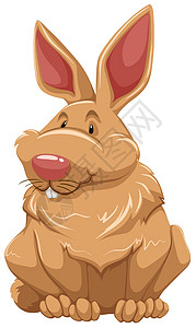 兔子兔学校耳朵单词卡片墙纸荒野动物生物绘画海报背景图片