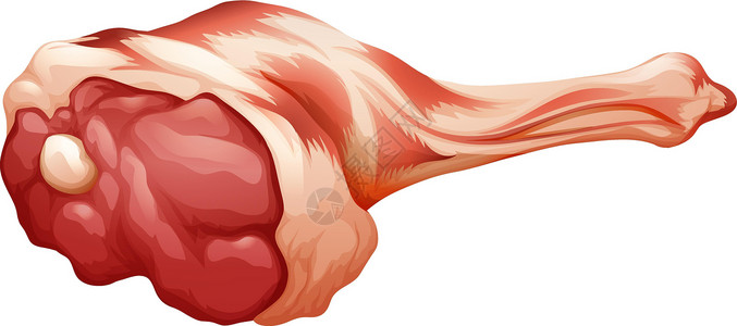 红肉菠萝蜜新鲜鲜肉羊肉材料牛肉美食绘画猪肉红肉饮食食物卡通片插画