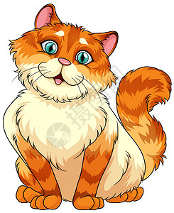 姜猫小猫咪生物毛皮橙子宠物动物荒野白色卡通片胡须猫科动物插画