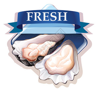 扇贝生蚝新鲜牡蛎与 tex海鲜夹子贝类横幅小吃贴纸生蚝食物标签味道插画