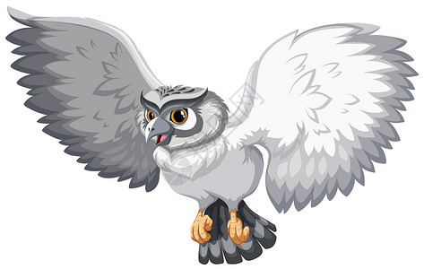 白色和灰色鸟灰色的翅膀绘画猎人羽毛猫头鹰墙纸生物飞行卡通片动物插画