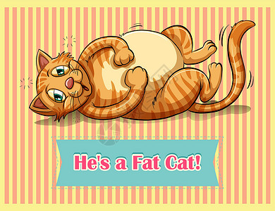 汤姆猫脂肪钙条纹猫科动物墙纸动物宠物热带哺乳动物绘画野生动物卡通片插画