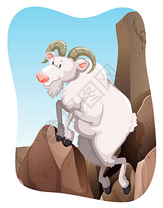 唐山南湖公园唐山羊FBD0白色剪贴牛角毛皮生物农场家禽卡通片墙纸胡须插画
