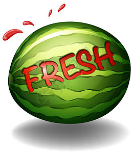 水瓜卡通片写作绘画绿色饮食农场白色营养字母低热量背景图片