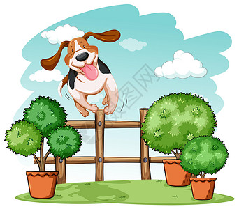 宠物食盆狗跳过围栏栅栏家庭最好的朋友动物宠物天空风景蓝色小狗友谊设计图片