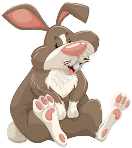 兔子兔灰色荒野生物粉色墙纸牙齿白色绘画棕色哺乳动物背景图片