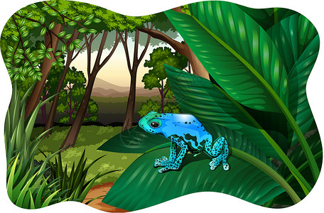 丑陋的青蛙蓝色来回两栖荒野爬虫树木绿色树叶蟾蜍颠簸墙纸卡通片插画