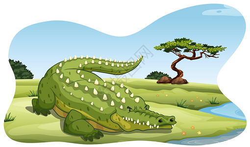 鳄鱼卡通片野生动物濒危生物绘画土地白色荒野热带河岸高清图片