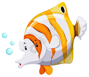 黄色条纹胖鱼一条鱼绘画生物卡通片条纹游泳动物橙子墙纸哺乳动物黄色设计图片