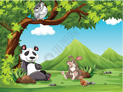 动物熊猫濒危动物园墙纸哺乳动物生物卡通片兔子荒野野生动物背景图片