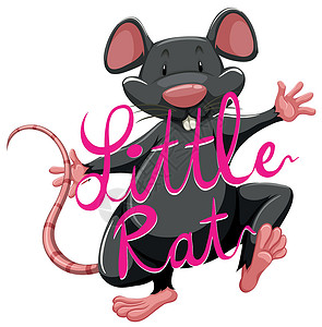 Litte rat 成语与 tex背景图片